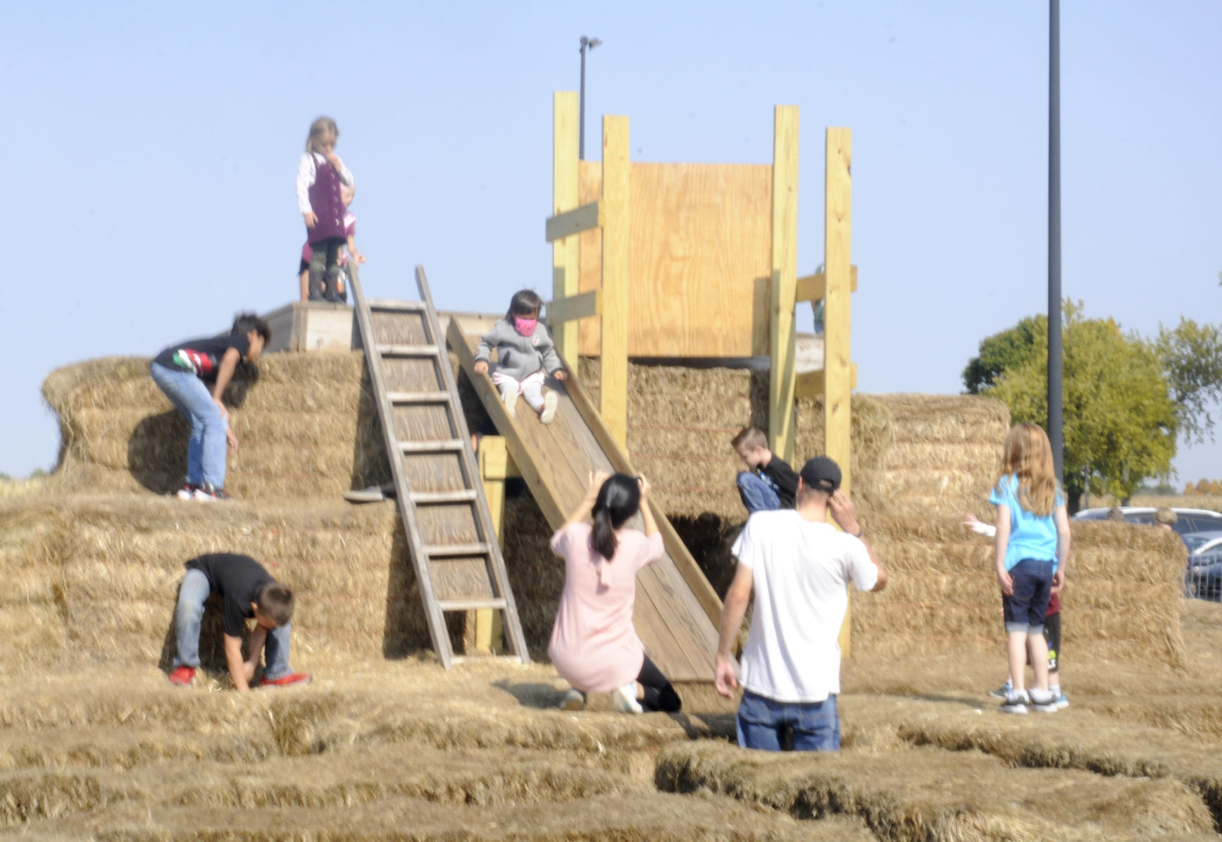 Pearce's Pumpkin Fest